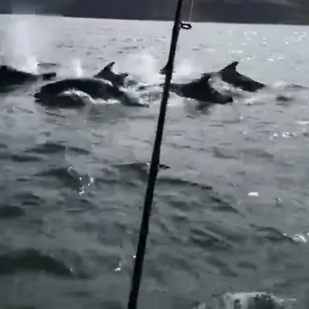 Hébergement de vacances The Anchorage Your In Idyllic