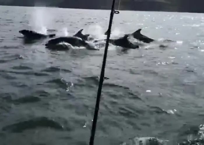 Holiday home The Anchorage Your In Idyllic